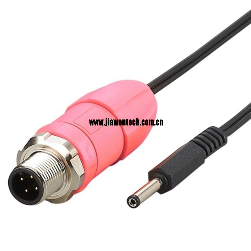 M12 TO DC Power cable