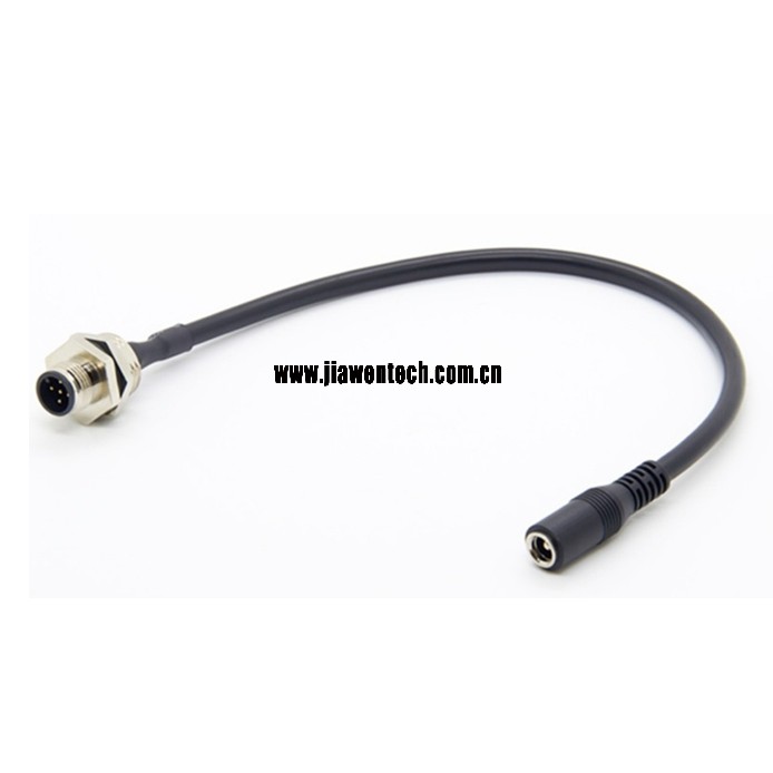 M12 to DC female cable