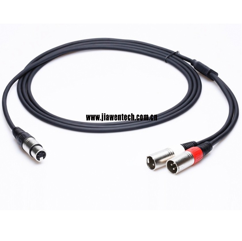 Y-lead 5 pin XLR female to dual 3 pin XLR male