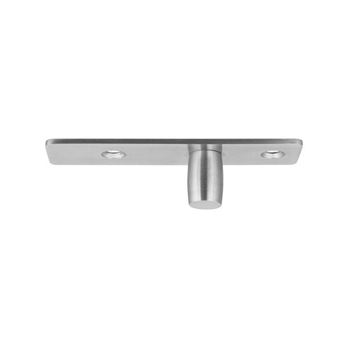 Ceiling Pivot of Pivot Series